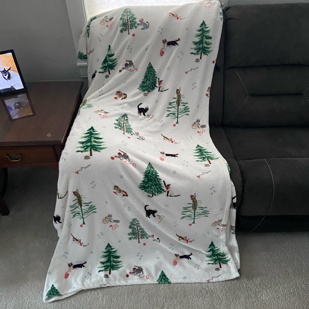 Winter Cats Printed Velvet Plush Polyester Ultra Soft Blanket Full/Queen